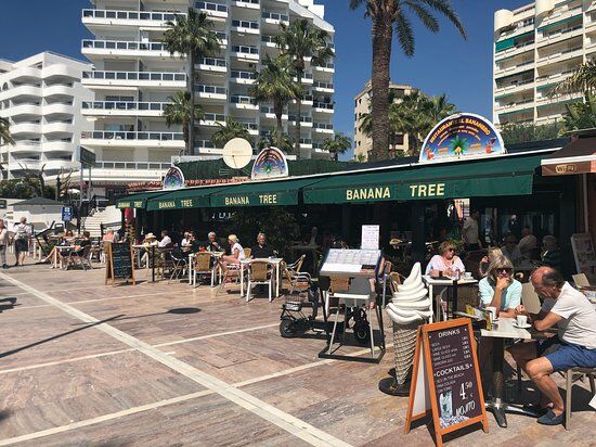 The Banana Tree Bar Marbella